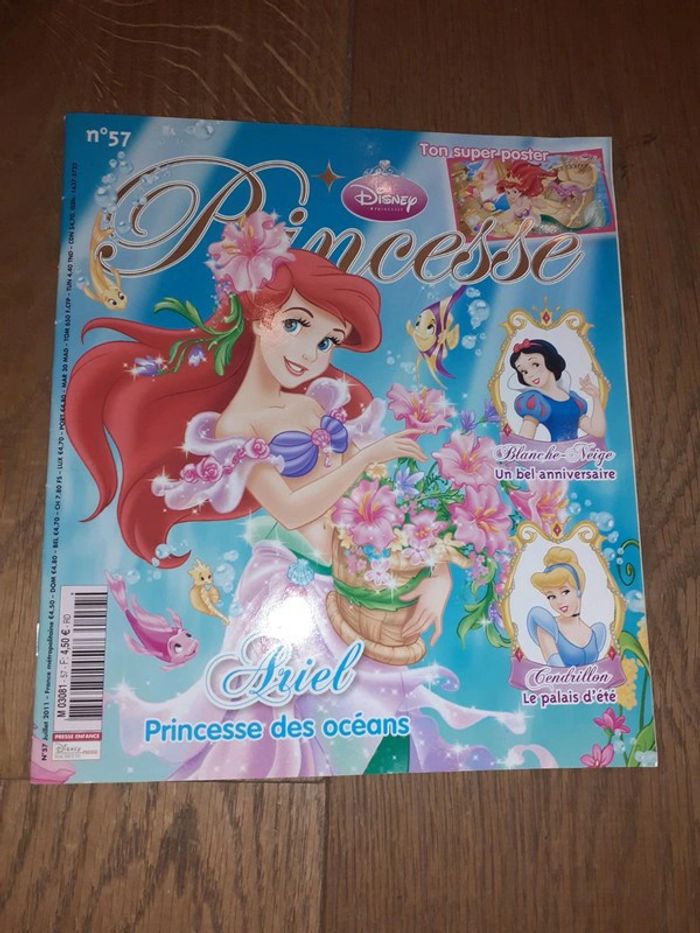 Princesses Ariel 57
