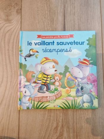 Livre le vaillant sauveteurs