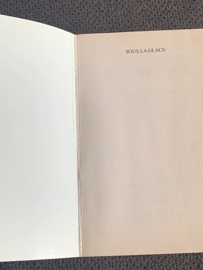 Livre sous la glace Louise Penny - photo numéro 4
