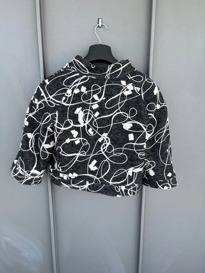Veste - photo numéro 4