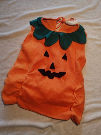 Déguisement citrouille 