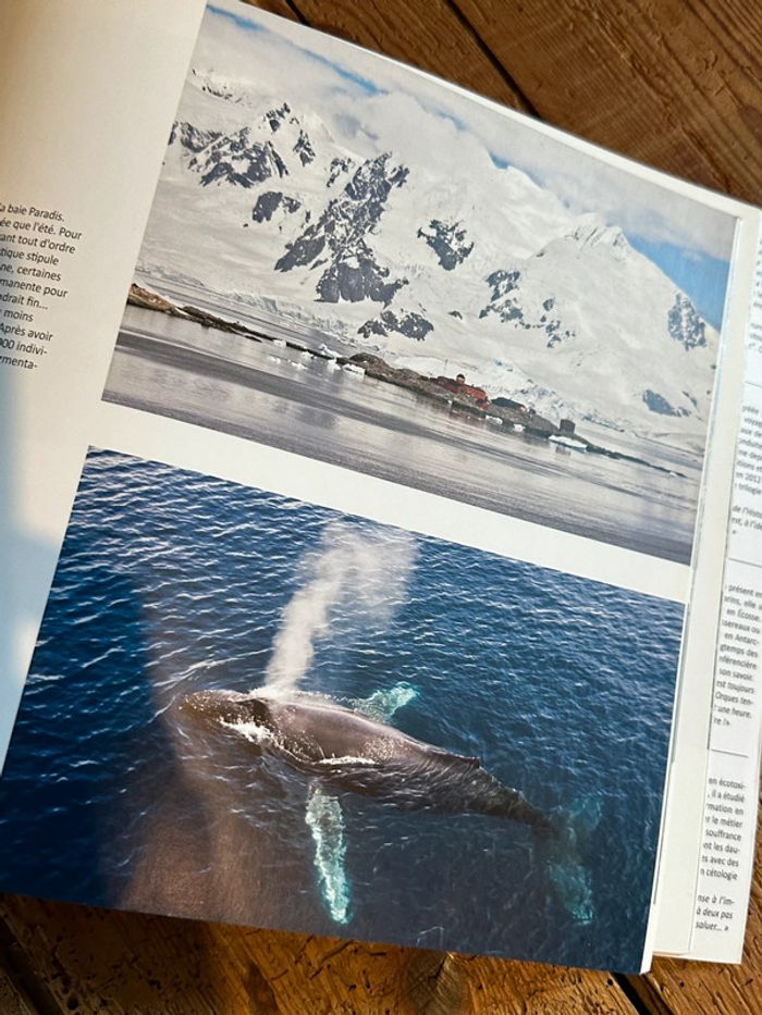 Compagnie du Ponant - Livre Voyage en Antarctique Terre de Feu Shetland du Sud beau album - photo numéro 11