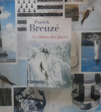 Le silence des glaces de Patrick Breuzé
