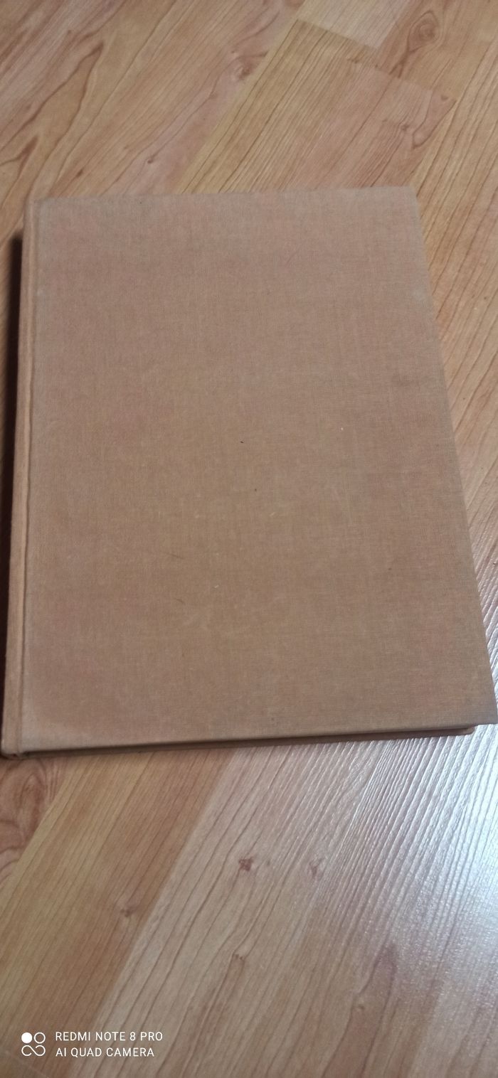 Livre oiseaux Des pays d Europe - photo numéro 3
