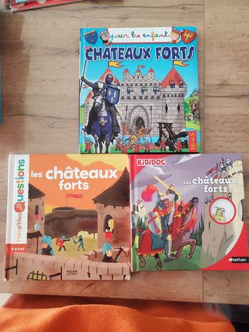 Lot de 3 livres Chateaux forts