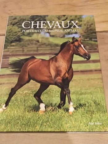 Les chevaux portraits du monde animal