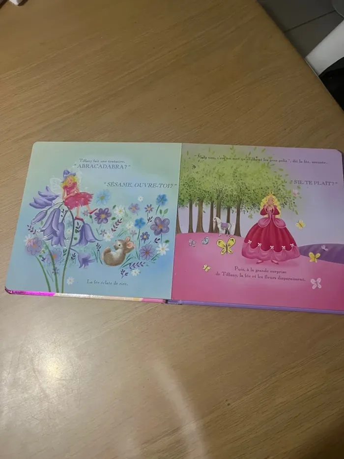 Livre princesse - photo numéro 4