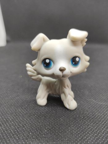 Littlest Petshop LPS dog chien colley collie 363 hasbro #geektradelpschien