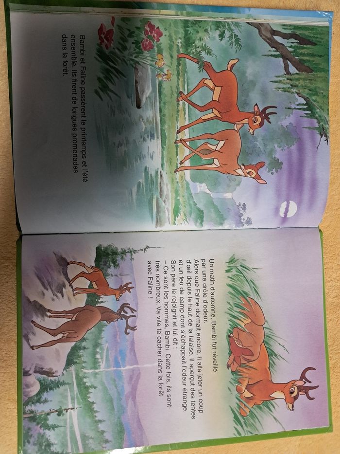 Livre Bambi - photo numéro 3