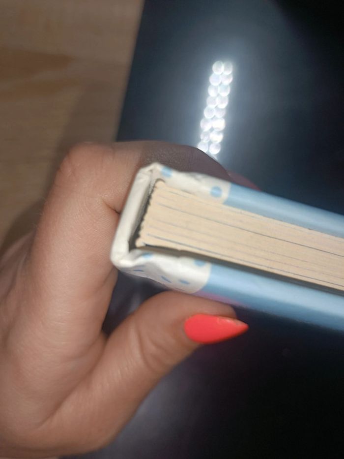 Livre bébé T'choupi au dodo - photo numéro 10