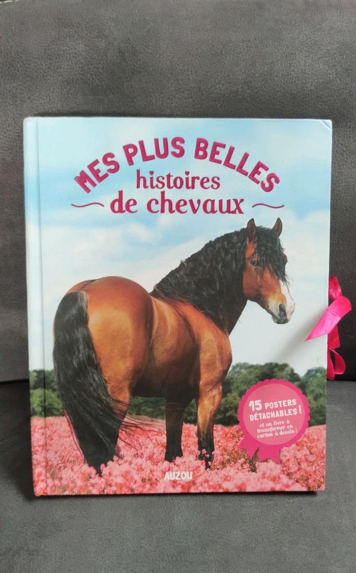 Livre posters mes plus belles histoires de chevaux