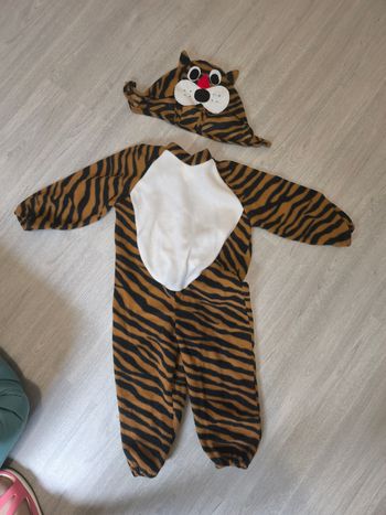 Déguisement 🐯