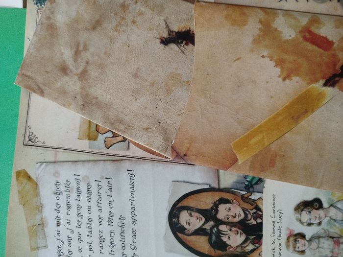 Les Chroniques de Spiderwick : Un voyage avec Chafouin  - Rare - photo numéro 3