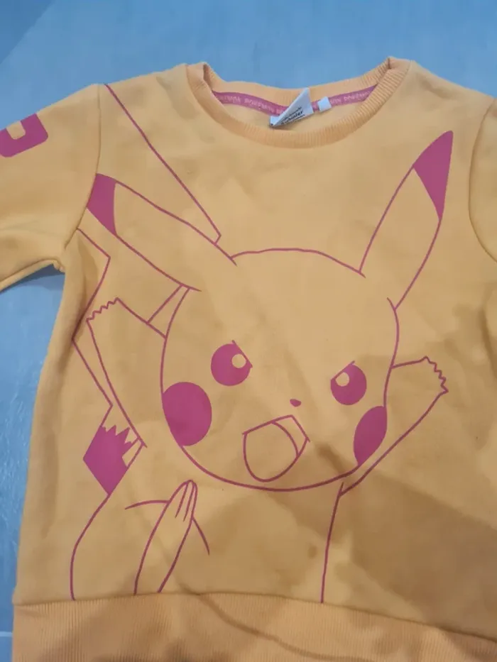 Pull pokemon - photo numéro 2