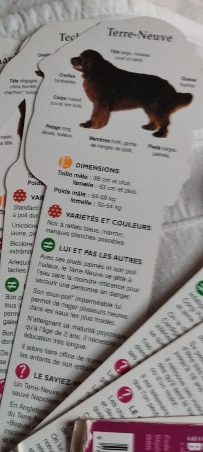 L'éventail des Chiens - photo numéro 7