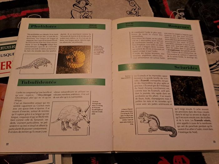 Lot 2 Livres Merveilleuse Nature - photo numéro 3