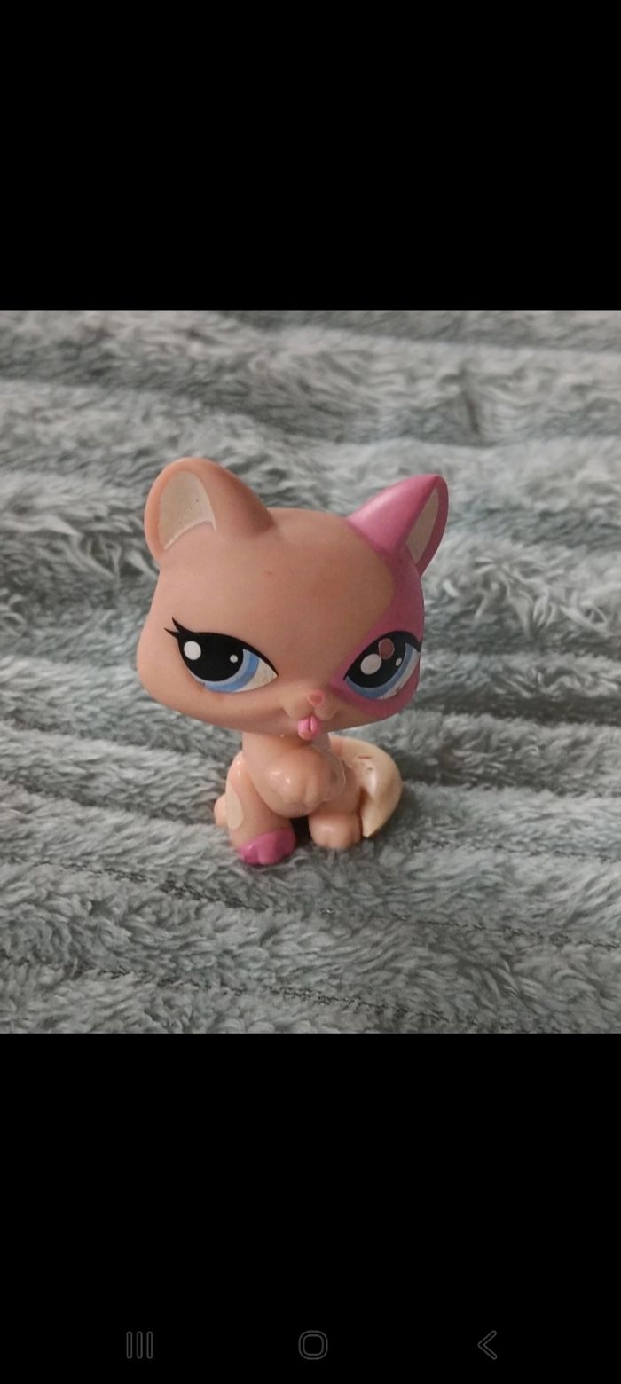 Petshop chat 1402