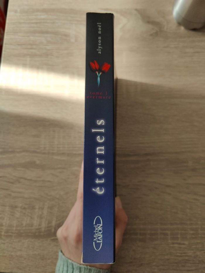 Livre Éternels tome 1 : evermore - photo numéro 3