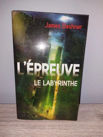 Livre l´épreuve le labyrinthe