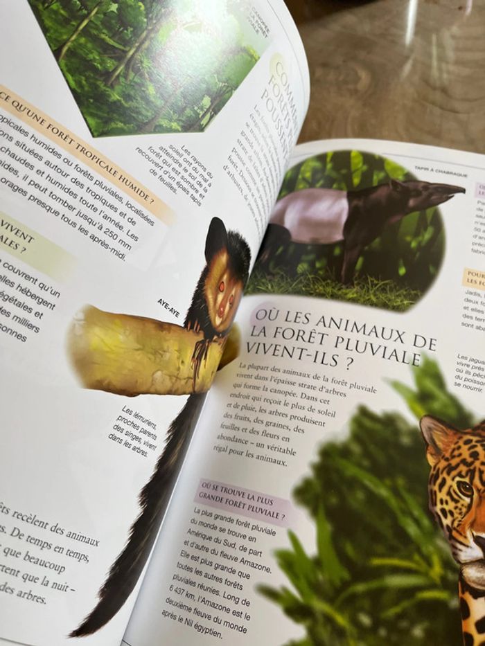 Livre « questions & réponses Les animaux » - photo numéro 2