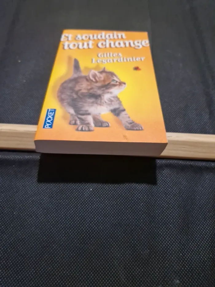 Et soudain tout change - Gilles Legardinier - photo numéro 2