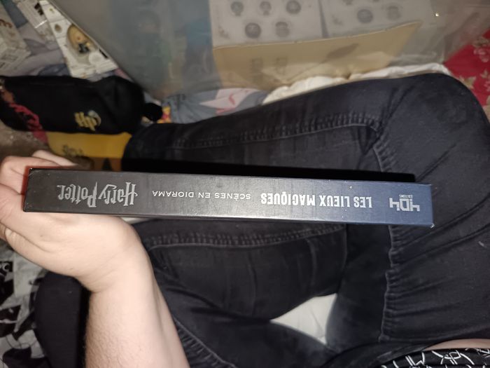 Livre Harry potter diorama - photo numéro 2