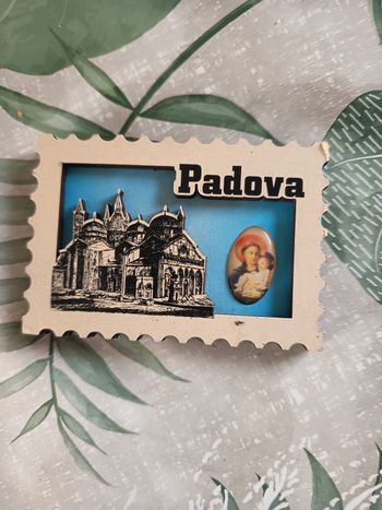 Magnet padova 