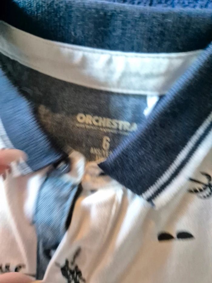 Polos orchestra - photo numéro 2