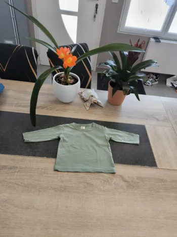 Tee-shirt garçon ml 6 mois HM
