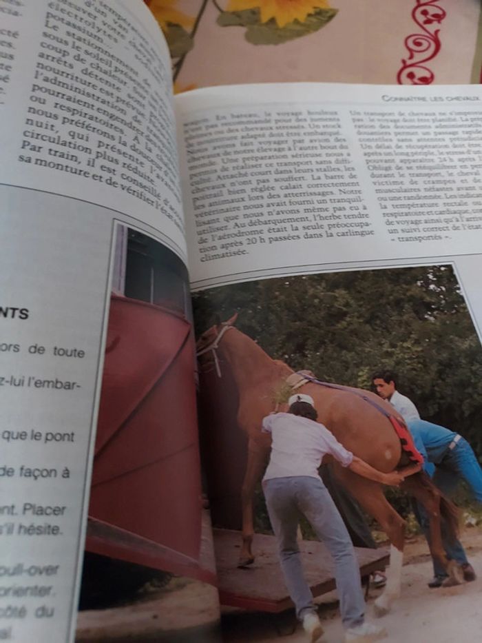 Superbe livre sur les cavalier - photo numéro 3