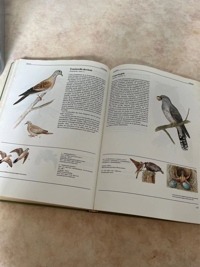 Livre Animaux de tous les pays Grund - photo numéro 4