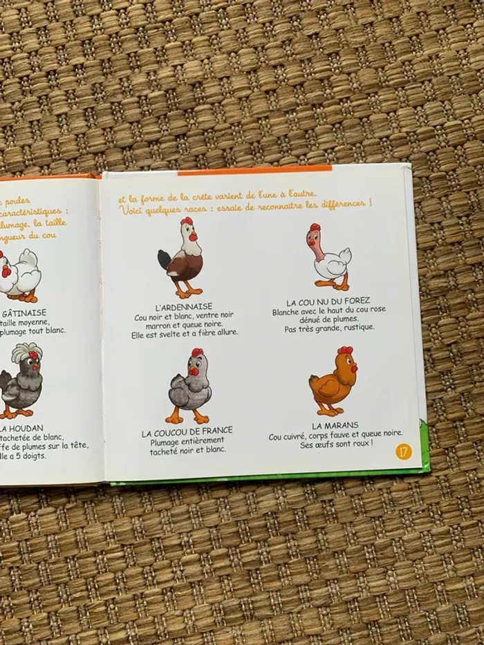 La poule - photo numéro 3