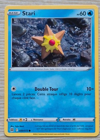 Stari Stars Étincelantes