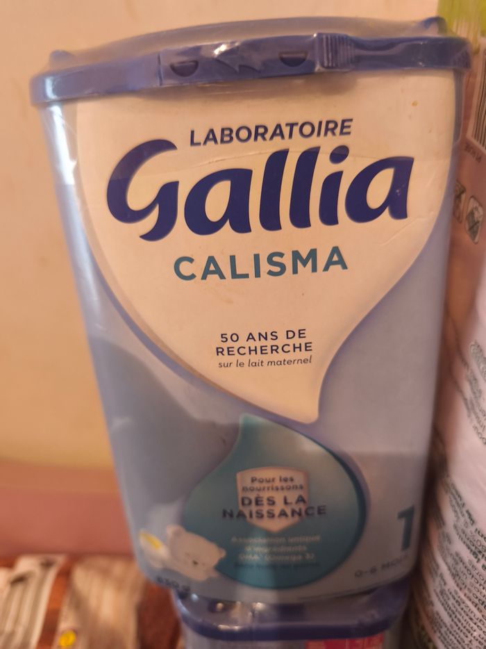 Gallia - photo numéro 2