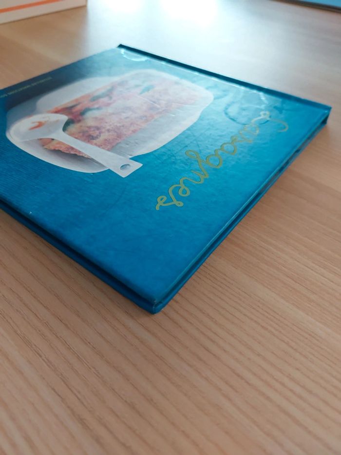 Livre lasagne - photo numéro 5