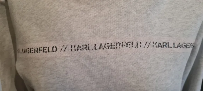 Sweat à capuche Karl Lagerfeld - photo numéro 4