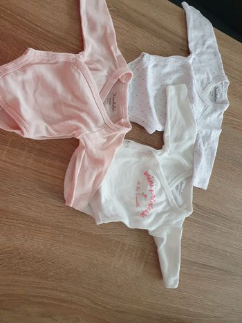 Bodies 