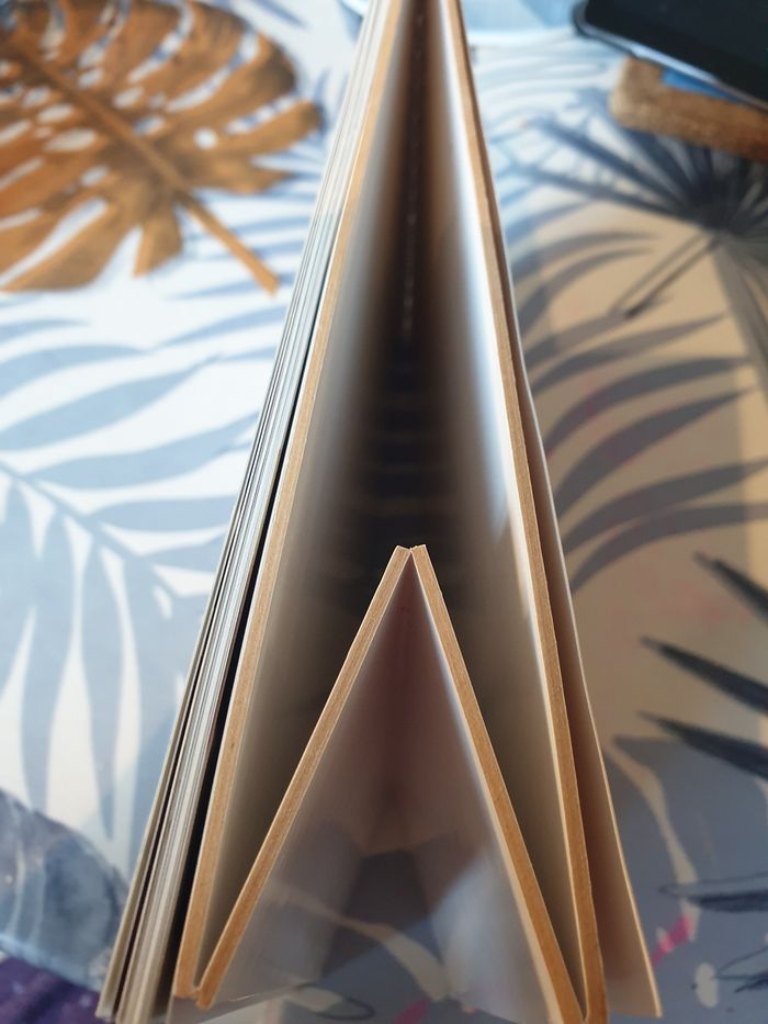 Les cales d'hiver de Sophie de Sophie Dudemaine - photo numéro 2