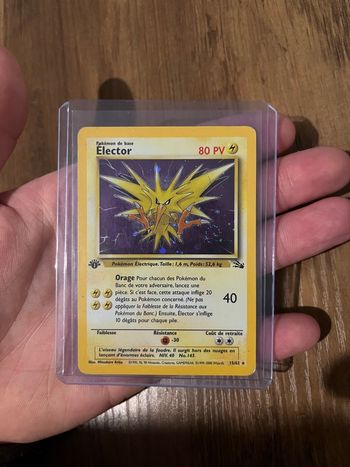 Élector Holo Ed1 Fossile 15/62