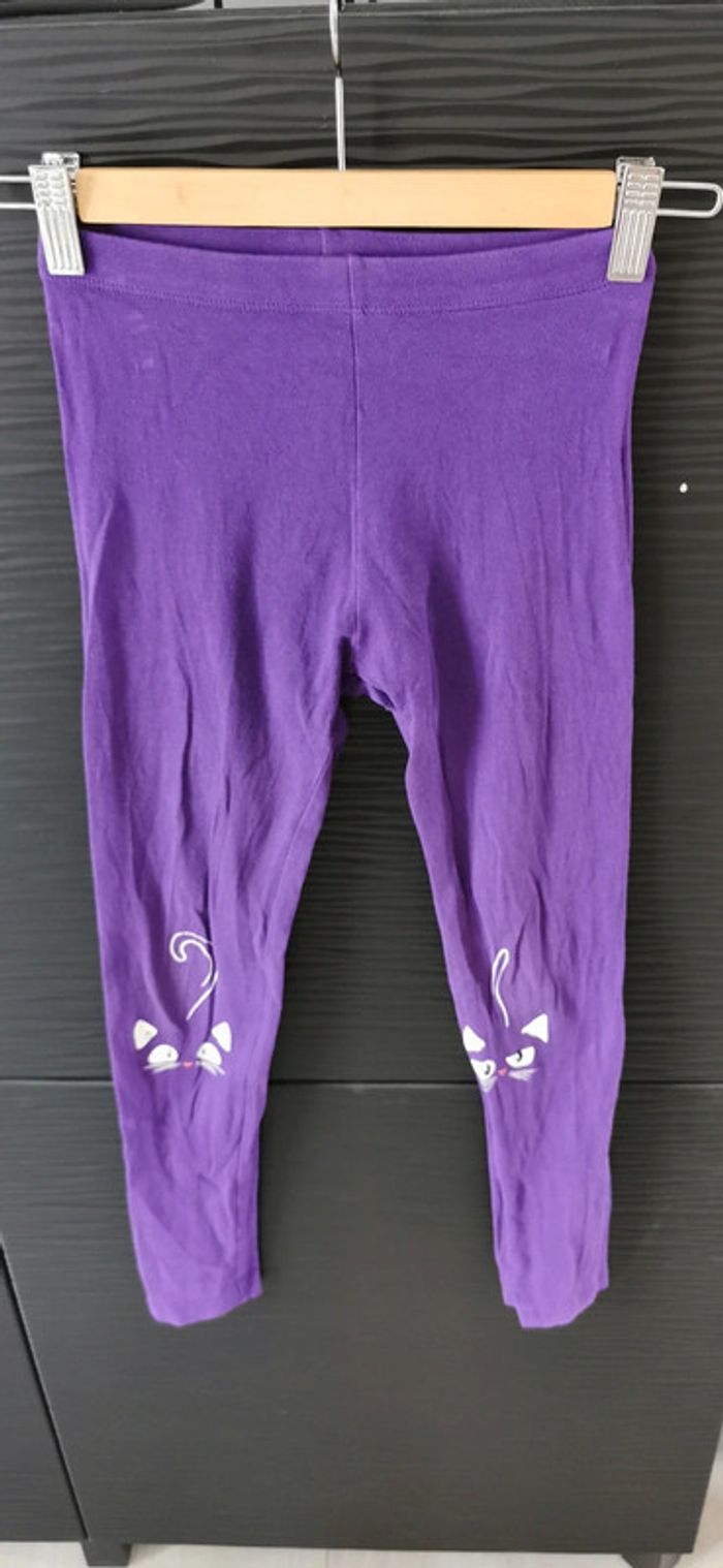 Legging chat