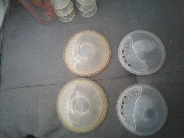 Coquille Recueil lait