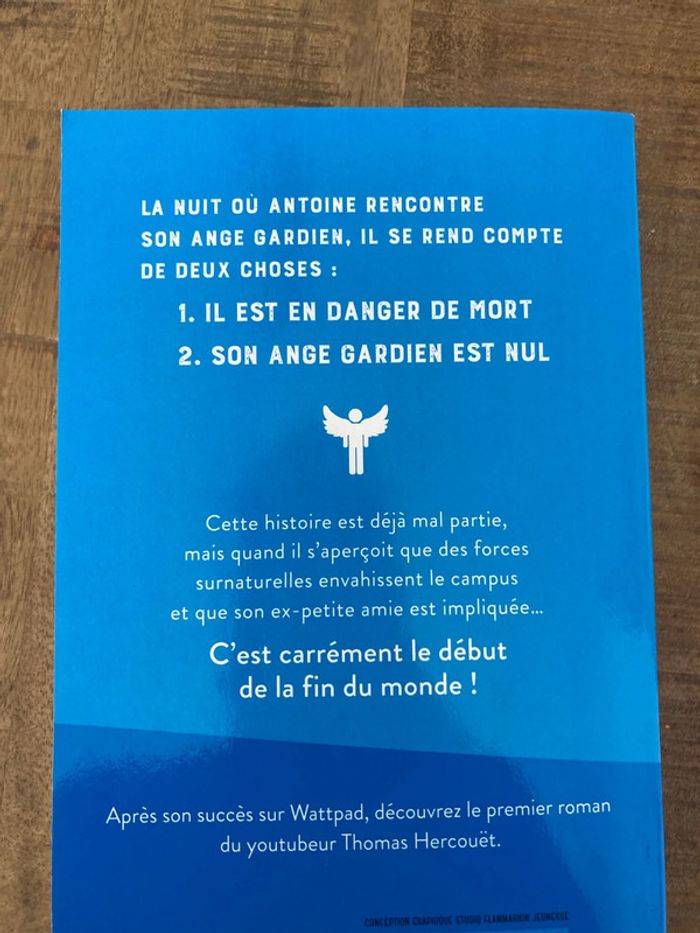 Comment j ai tue mon ange gardien - photo numéro 2