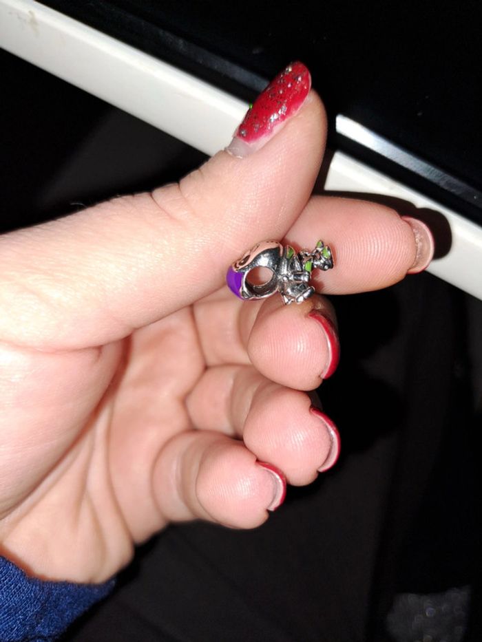 Accessoire - photo numéro 6