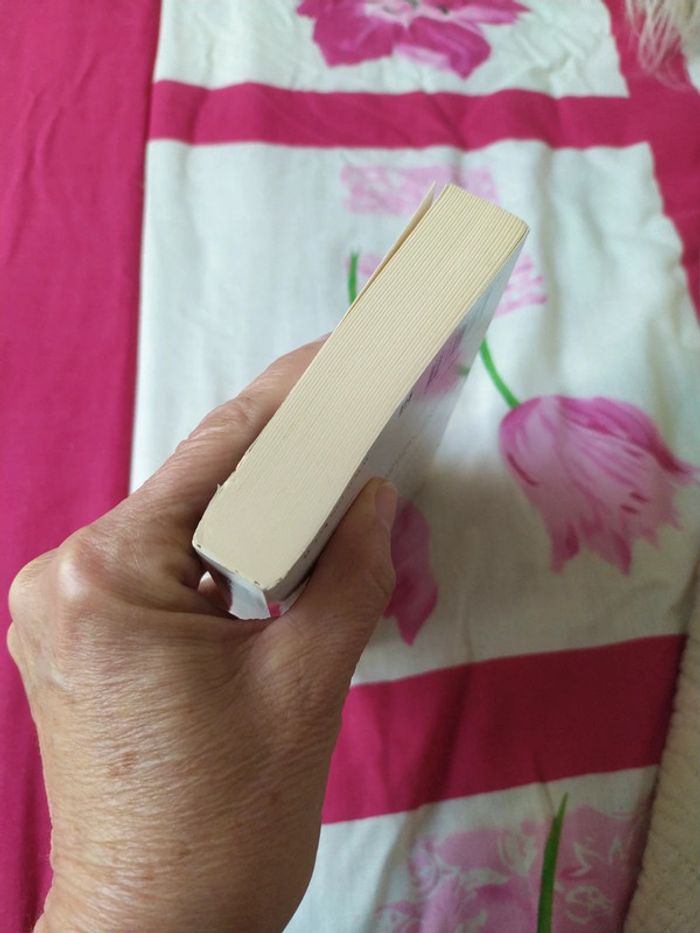 Quelque part dans le monde de Claude Michelet - photo numéro 6