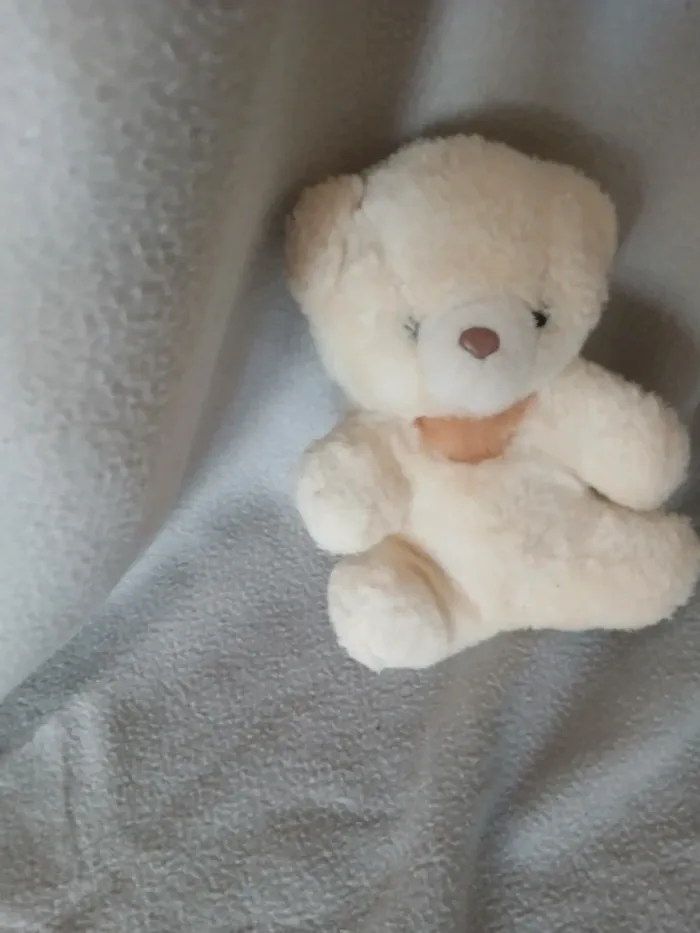 Peluche ours - photo numéro 2
