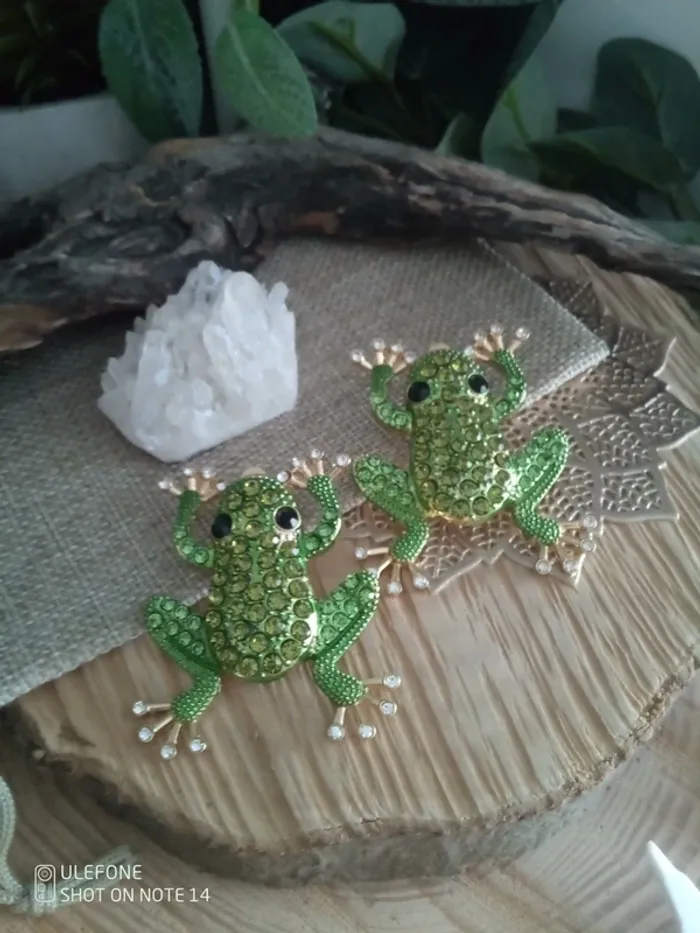Boucles d'oreilles grenouilles