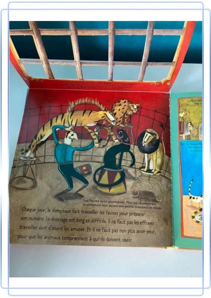 Livre kididoc le cirque - photo numéro 9