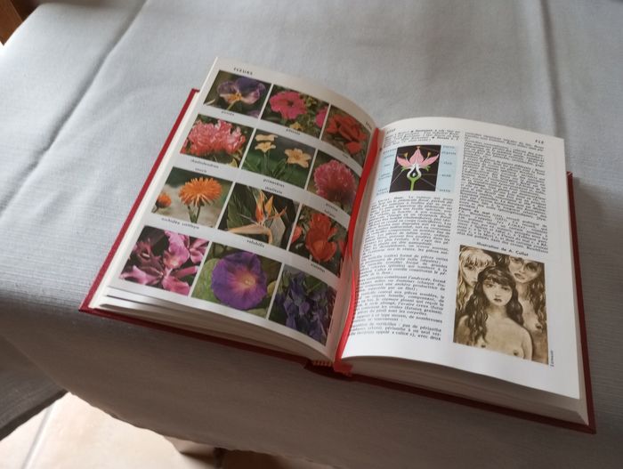 Encyclopédie - photo numéro 3