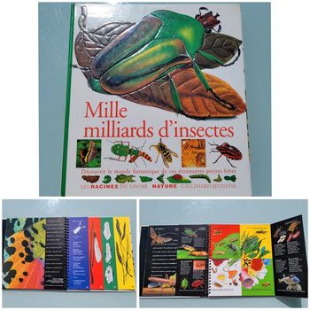 🦗 Mille Milliards d'insectes 🪳livre animé Gallimard Jeunesse (73)
