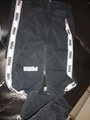 Gilet puma